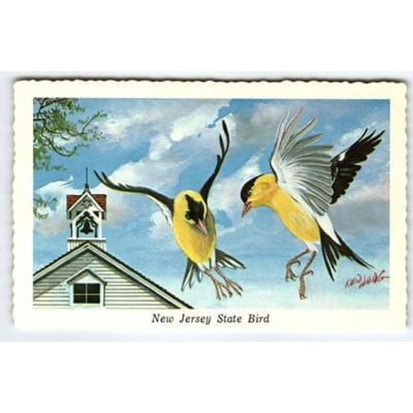 New Jersey State Bird Eastern Goldfinch Vintage Ken Haag Postcard - Picture 1 of 2